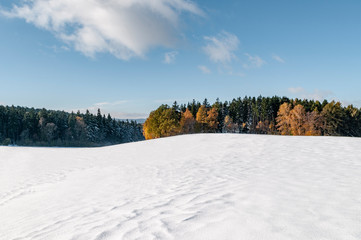 Winterlandschaft in den Bergen mit Laub- und Nadelbäumen mit Herbstfärbung
