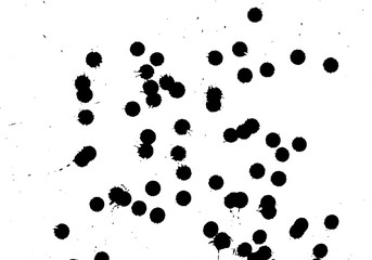 Ink grunge drops texture. Black hand drawn splashes and stains on white background.