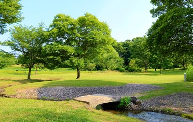 新緑　景色　茨城