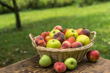 basket, fruit, apple, food, red, apples, fresh, healthy, ripe, isolated, autumn, white, organic, harvest, wicker, freshness, agriculture, juicy, sweet, nature, vegetarian, crop, green, diet, delicious