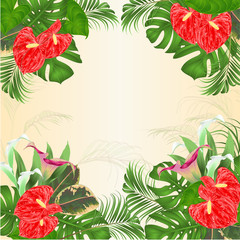 Floral frame natural background with blooming lilies Cala and anthurium, palm,philodendron and ficus vector Illustration for use in interior design greeting card