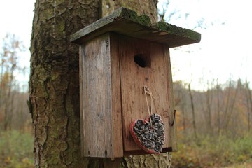 Selbstgemachtes Vogelfutter 