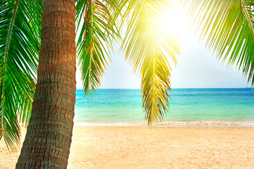 Beautiful beach. View of nice tropical beach with palms around. Holiday and vacation concept.  Tropical beach.