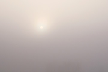 Sun beams light up through thick fog. Nothing is visible through fog. Misty morning, mysterious landscape.