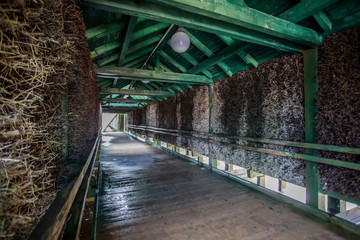 Gołdap - Tężnie Solankowe