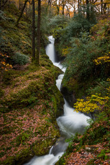 Wasserfall im Glendalough Park Irland