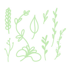 Floral doodle set. Vector hand drawn botanical illustration. Isolated objects on white