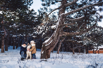 Cheerful little boy and girl are standing with their big dog in the winter near a crooked tree in...