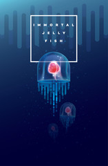 Obraz premium Ilustracja wektorowa nieśmiertelnej meduzy pływającej pod powierzchnią oceanu