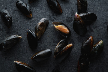 Fresh musselsl on dark concrete background