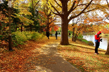 北海道、札幌、中島公園の秋の風景