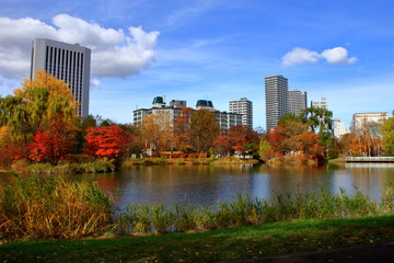 Fototapeta na wymiar 北海道、札幌、中島公園の秋の風景