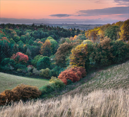 Autumn Colour - Broomfield