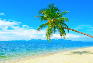 Plakat Beautiful beach. View of nice tropical beach with palms around. Holiday and vacation concept. Tropical beach. Beautiful tropical island.