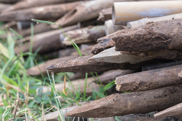 Pile of wood on green grass background.Pile eucalyptus of fence posts on farm.