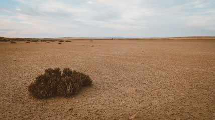 Desierto de Monegros