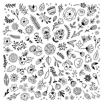 Flowers and plants hand drawn big vector set on white background. Different botanical illustrations, florals, leaves and branches