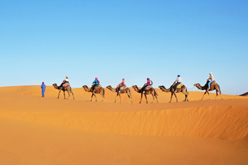 Camels caravan in Sahara desert. Sand dunes landscape in Sahara desert, Morocco