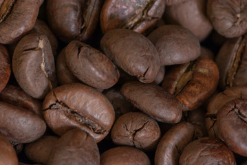 coffee grains background closeup