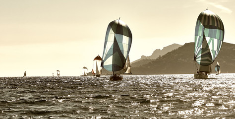 Sailing  yachts under sail with spinnakers at the regatta © Alvov