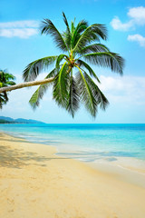 Fototapeta na wymiar Beautiful beach. View of nice tropical beach with palms around. Holiday and vacation concept.