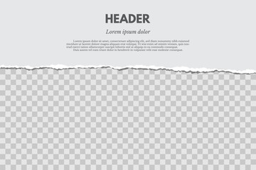 Torn paper with shadow isolated on grunge red and transparent background. Vector design template.