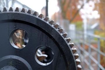 Ungesch&uuml;tztes Zahnrad 