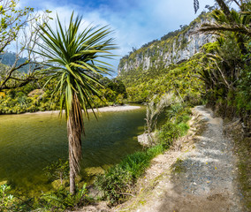 Naklejka premium Porarari river track near Punakaiki, West Coast, South Island, New Zealand