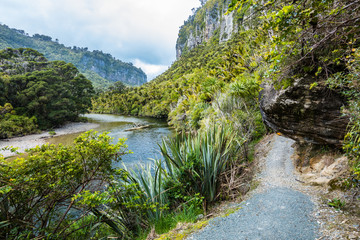 Porarari river track near Punakaiki, West Coast, South Island, New Zealand