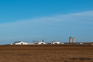 Cowsheds, farms and Silo tower with a field in the foreground. State cattle-breeding farm supplies milk and meat to entire South Russia. State farm Volga-Don. Preparation of feed for cows and horses.