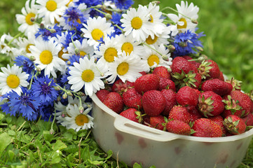Daisies and strawberries