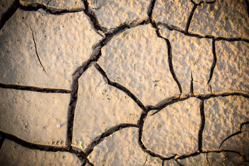 soilded broken. texture dry soild. texture of crack dry solid.dry soil background in summer.