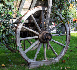 old wooden wheel from horse cart