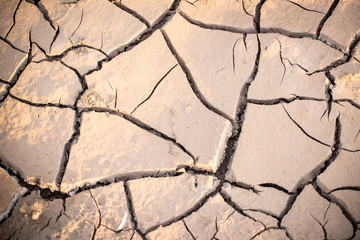 soilded broken. texture dry soild. texture of crack dry solid.dry soil background in summer.