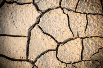 soilded broken. texture dry soild. texture of crack dry solid.dry soil background in summer.