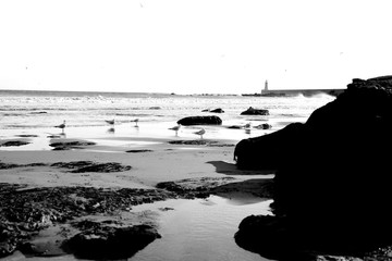 Tynemouth Beach, England, Black and White 1