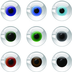 eyes with different colors of the iris