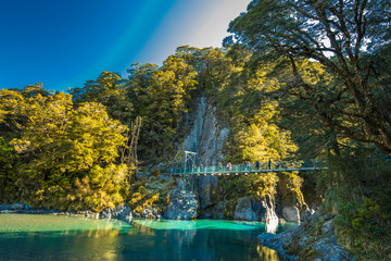 Famous attraction - Blue Pools, Haast Pass,  New Zealand, South Island