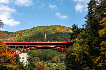 bridge over the river