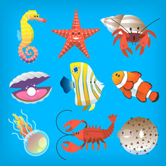 Various marine animals you can see at deep underwater or at the seaside.