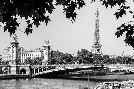 Fototapeta Pont Alexandre III Bridge with Eiffel Tower. Paris, France