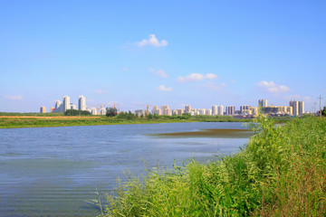 Fototapeta premium Urban landscape in the autumn
