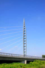 bridge lasso bracket