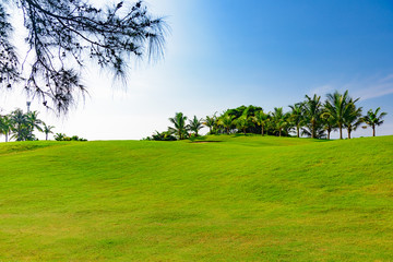 Fototapeta na wymiar green golf course