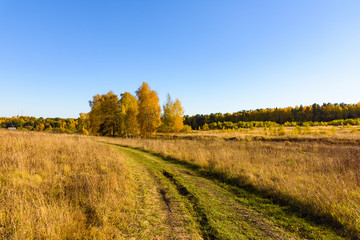 Naklejka premium dirt road in a field