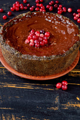 Homemade chocolate cake decorated with cranberry on the dark wooden background with copy space for text or recipe. Side view