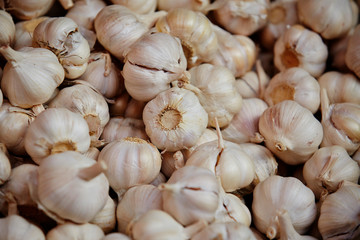 Heap of garlic 