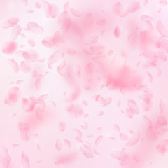 Sakura petals falling down. Romantic pink flowers 