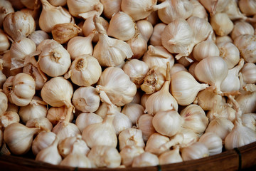 Heap of garlic 
