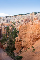 landscape on the bryce canyon in the united states of america